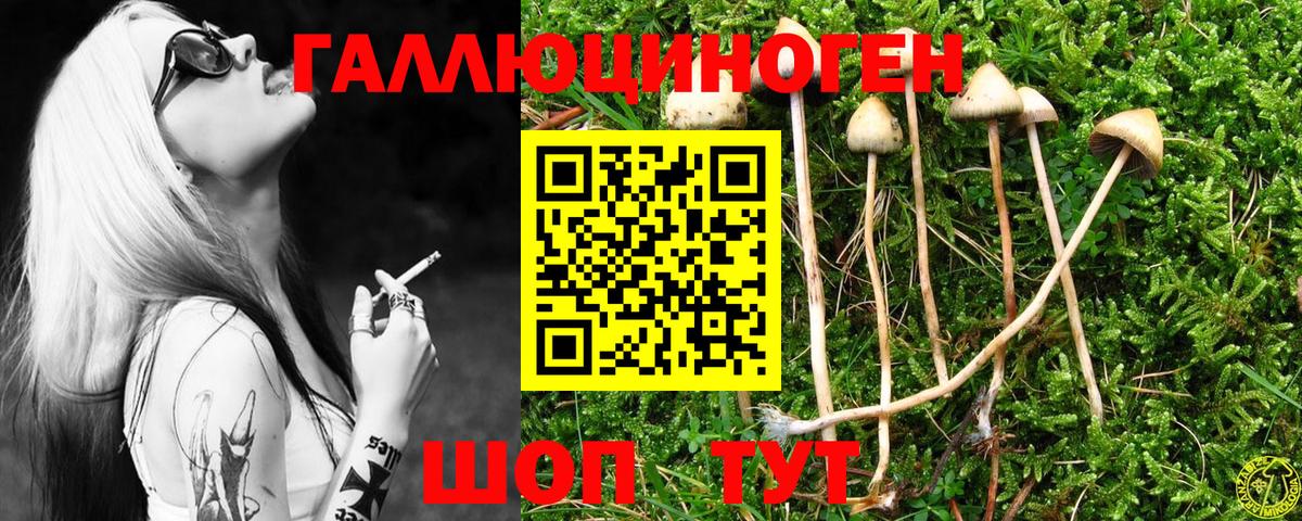 Электросталь  Псилоцибиновые грибы прущие грибы  Псилоцибиновые грибы MAGIC MUSHROOMS  Вход с VPN 
